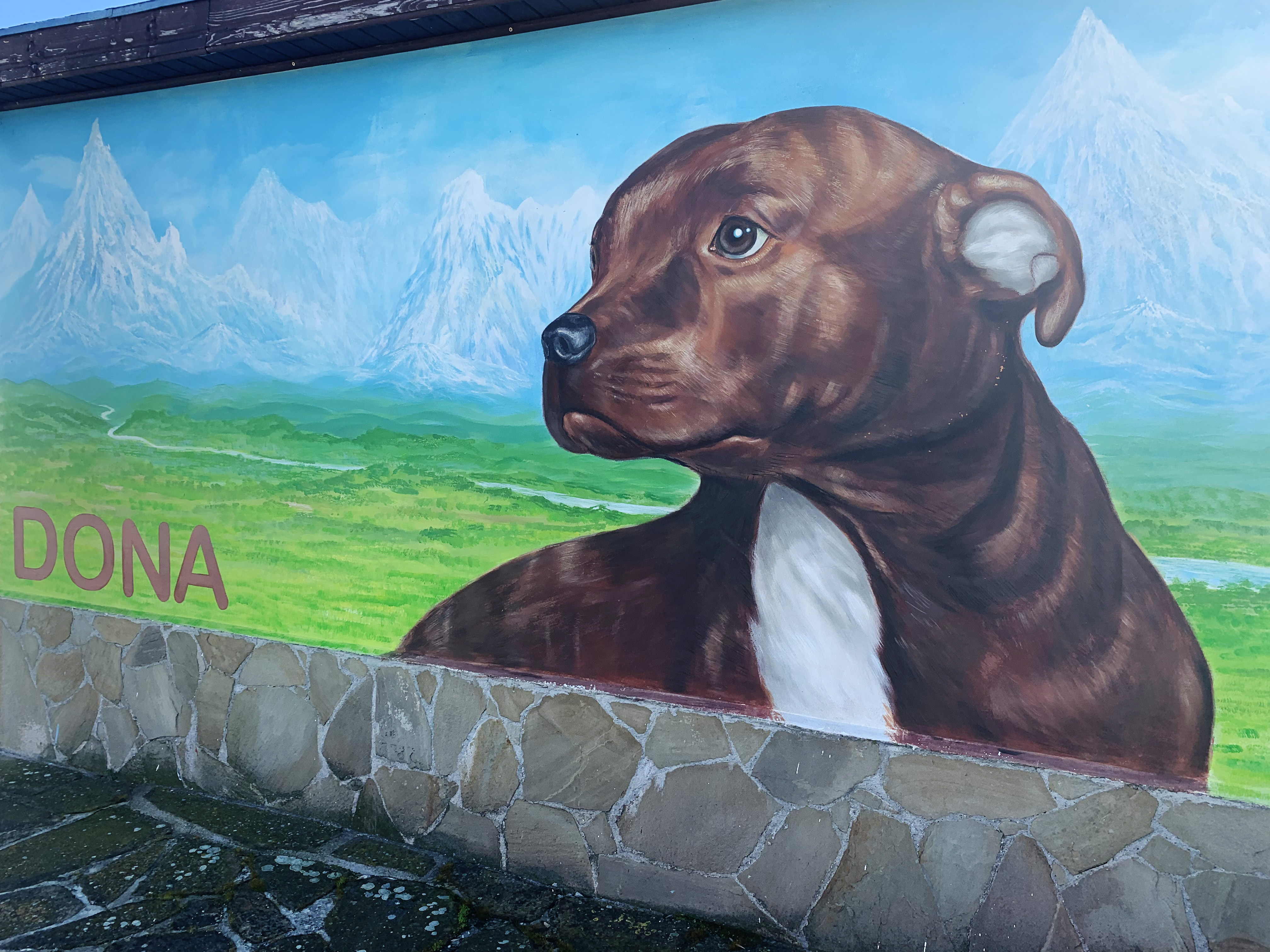 Най-луксозният хотел за кучета на Балканите се намира в село Миролюбово ...